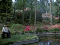 Exbury Gardens New Forest 2